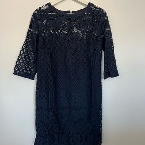 LOFT Navy Long Sleeve Lace Dress